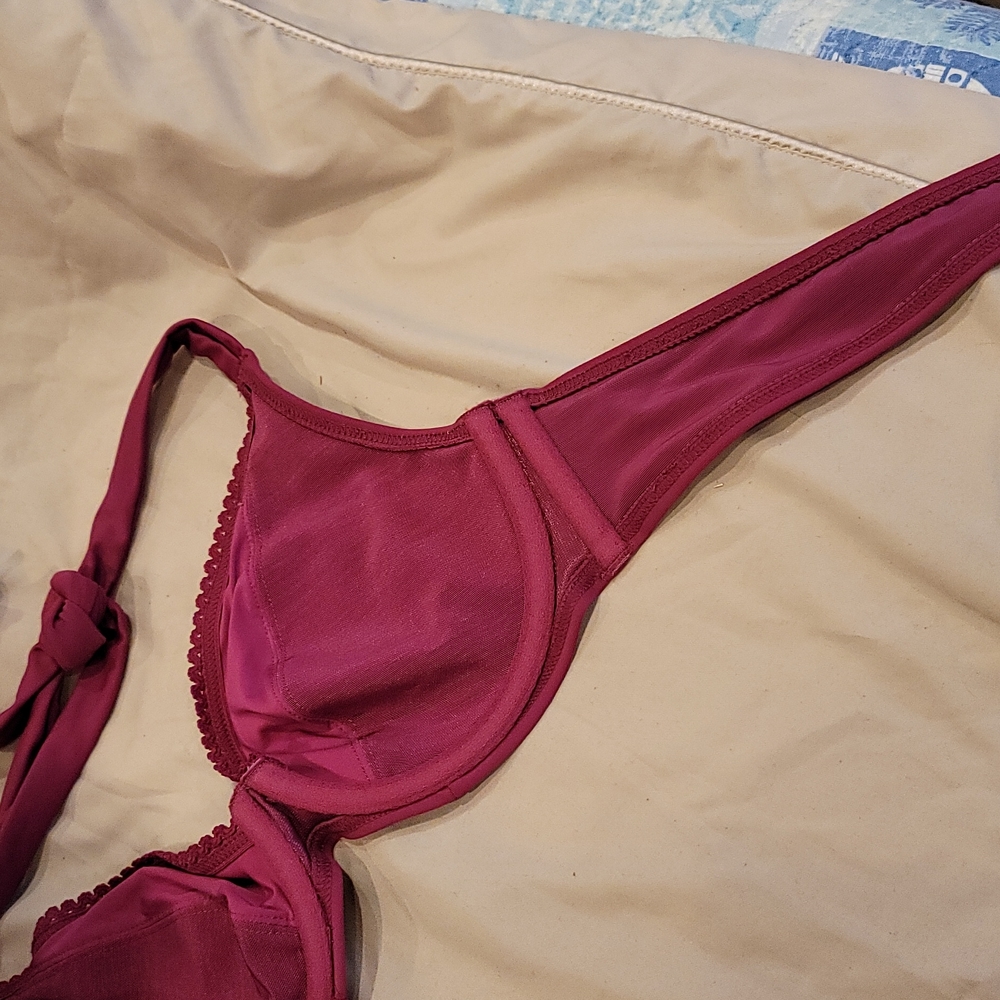 Curvy Kate Raspberry Bikini - Picture 10 of 16